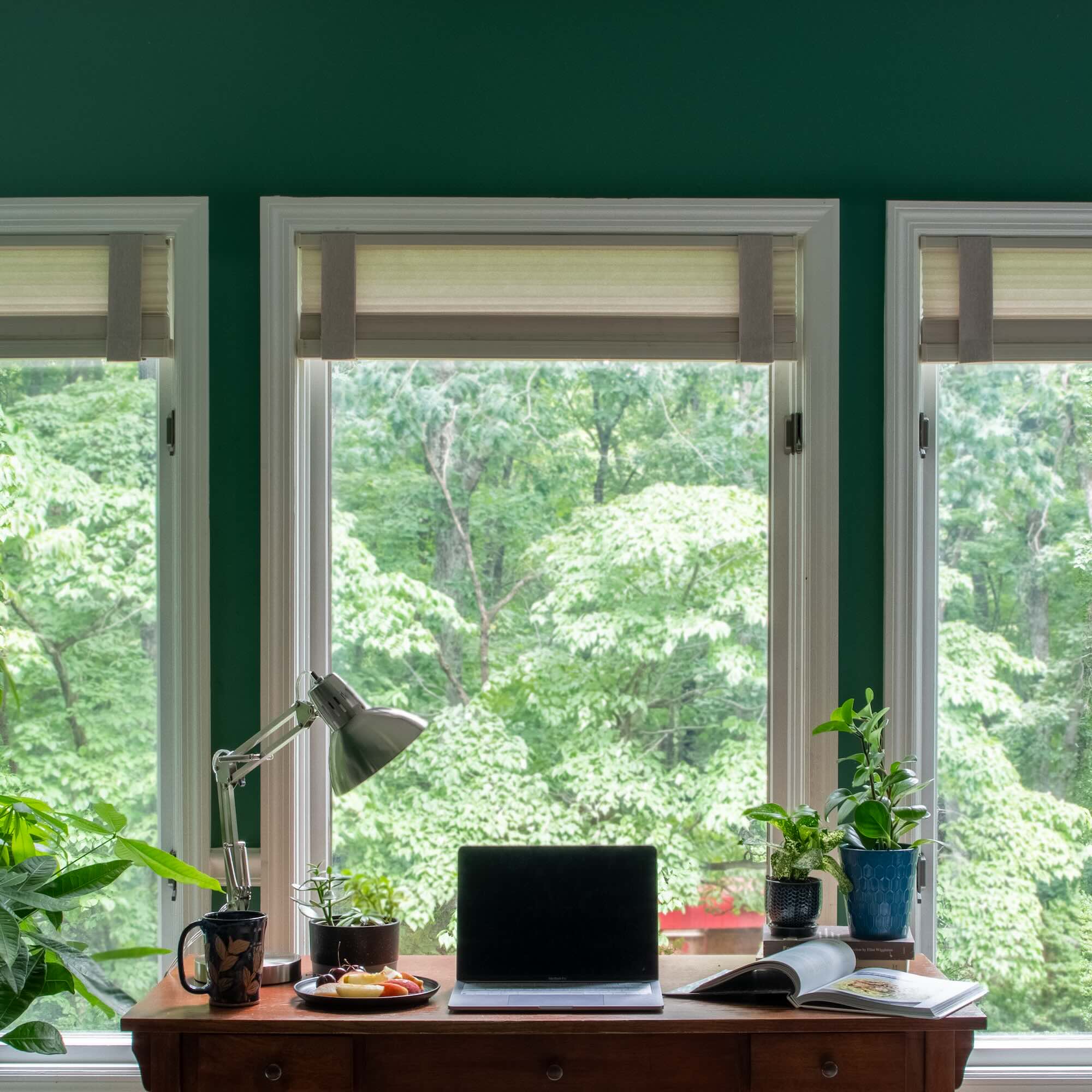 A home office with three large windows framed by Lift Luxe Shade Straps in Linen Beige, keeping pleated shades perfectly aligned. The space features a vintage wooden desk, a modern silver desk lamp, and lush green plants, with a crisp, polished view of the outdoors.