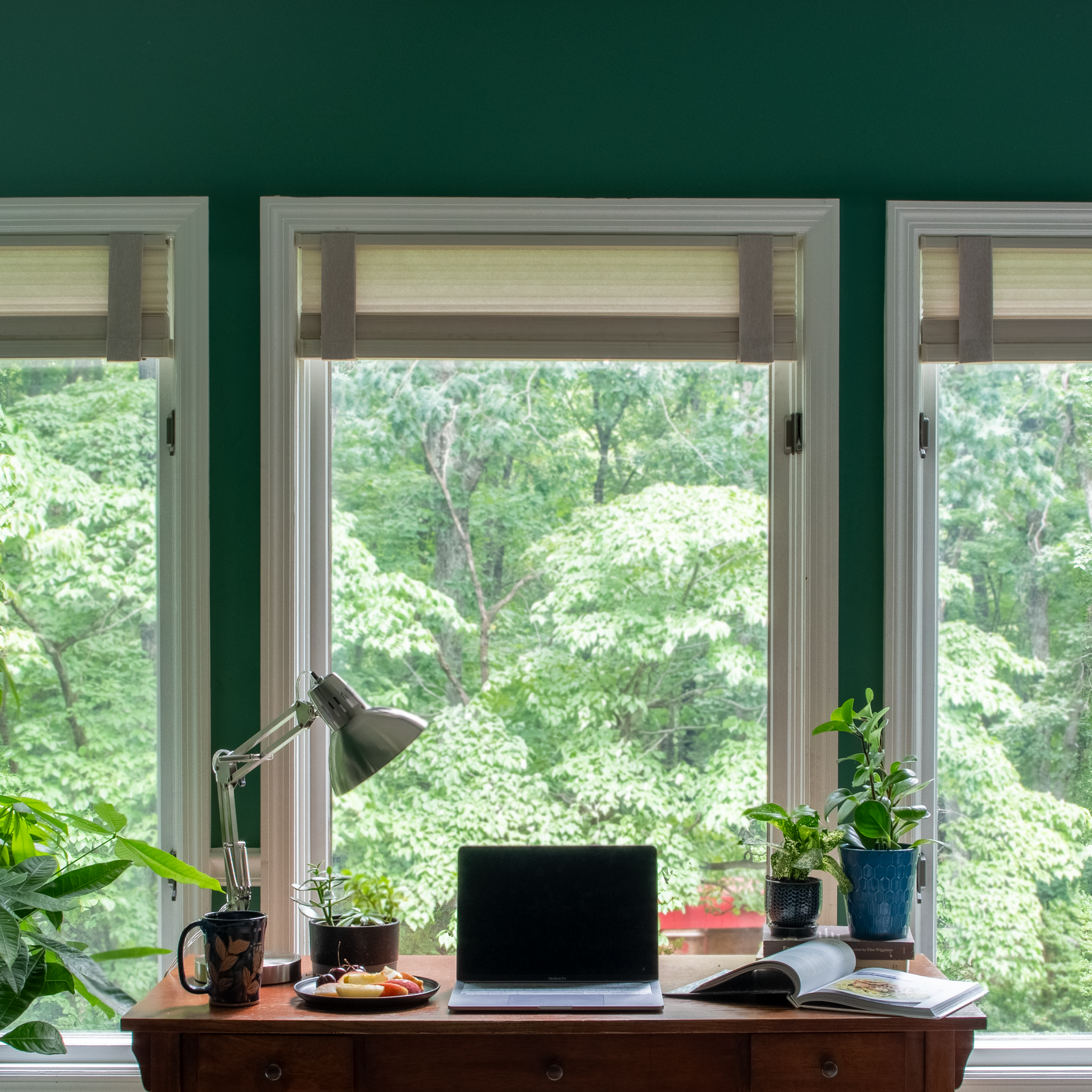 Bright home office featuring three windows with roman shades secured by Lift Luxe Shade Straps, overlooking lush green trees. Wooden desk with laptop, desk lamp, houseplants, coffee mug, and open book.